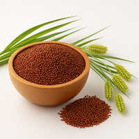 Finger Millets