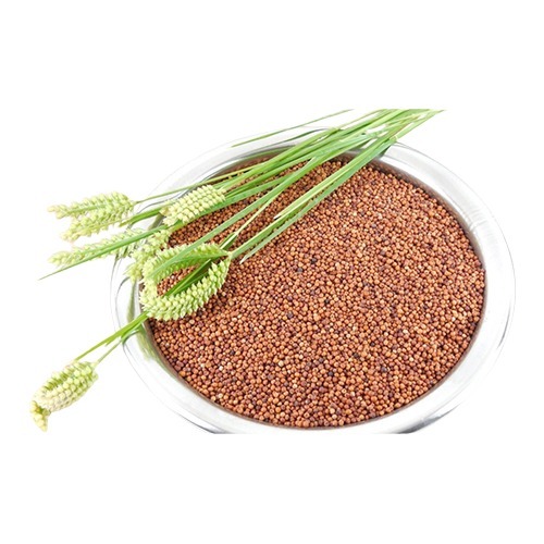 Finger Millets