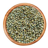 Bajra Millets