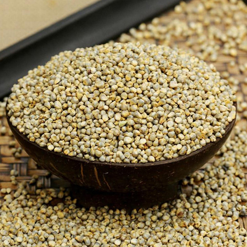 Bajra Millets