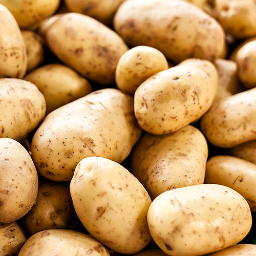 Potato .