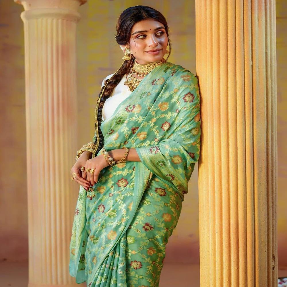 Pure banarasi khaddi  chiffon saree 