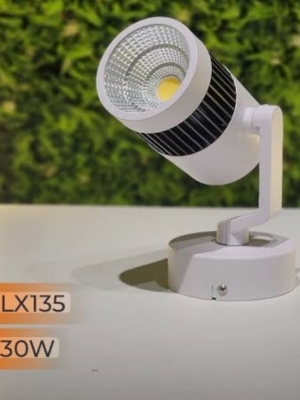 30w led wall light pkw ww