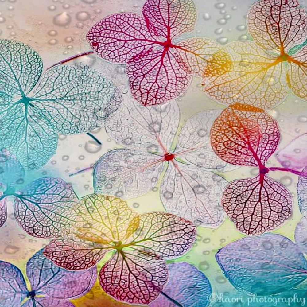 Digital Print - Color: Anycolours