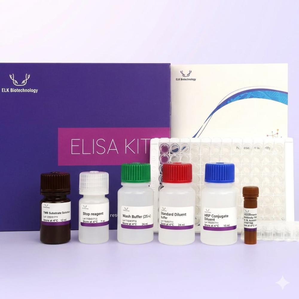 Human Irisin Elisa Kit - Shelf Life: 6-12 Months