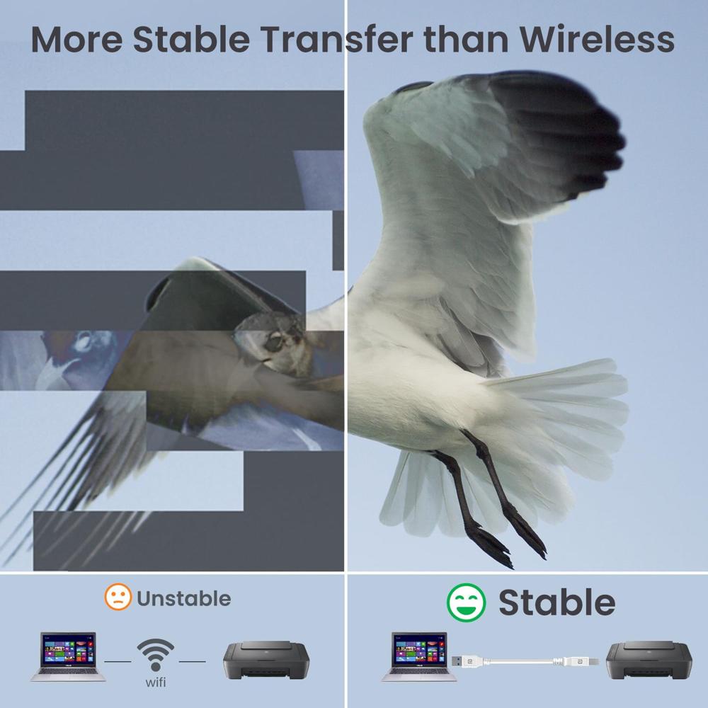 Portronics PrintLink 3 Printer Cable with USB Type-A to USB Type-B Male Connectors, 3 Meters / 10 Ft Long, High-Speed Transfer