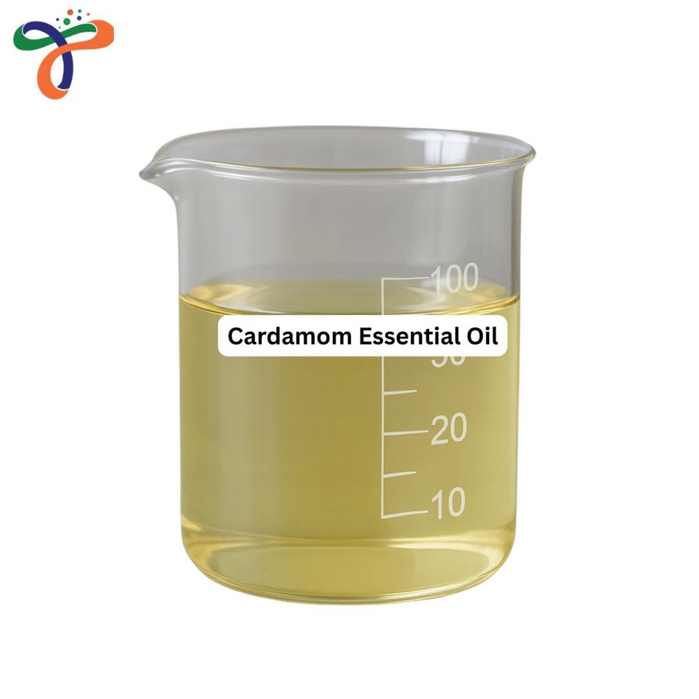 Cardamom Essential Oil