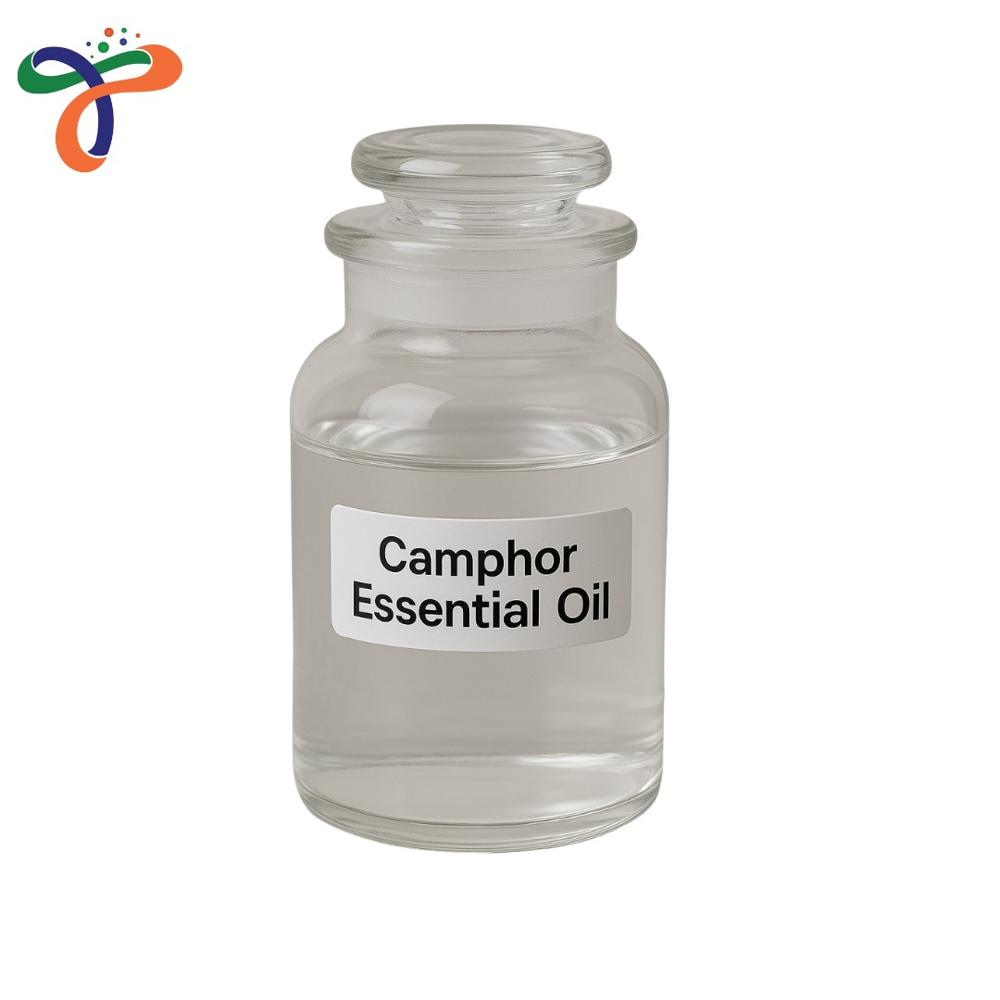 Camphor Essential Oil