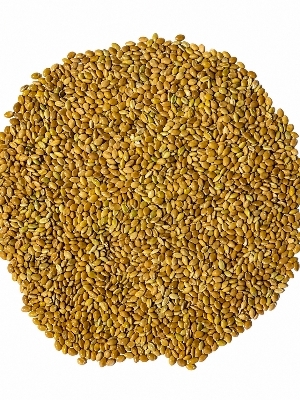 FOXTAIL MILLET (Rala/Kangni/Korralu/Kang/Kangu/Thinai/Navane )