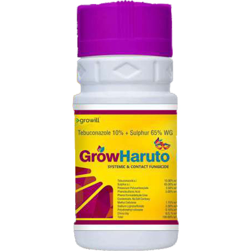 Grow Haruto