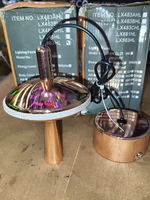 8w led hanging light RG ww