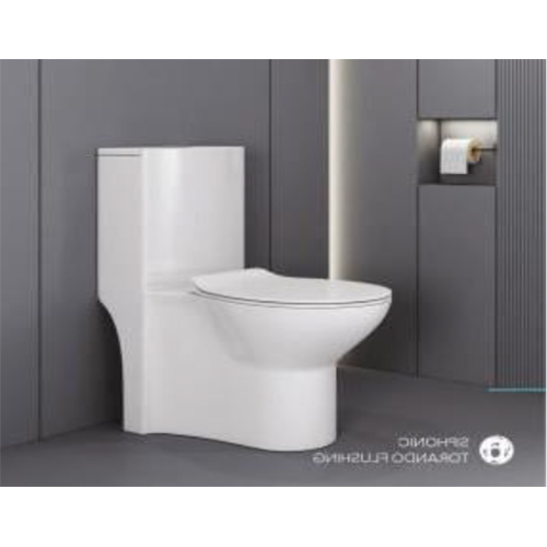 LUPIN ONE PIECE CLOSET SIPHONIC