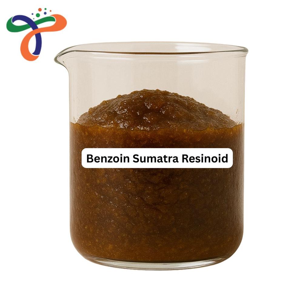 Benzoin Sumatra Resinoid at 500.00 INR in Vapi, Gujarat | Triveni ...