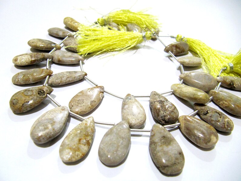 Natural Fossil Coral Pear Shape Plain Smooth Briolette beads 10x20mm To 12x22mm Graduated