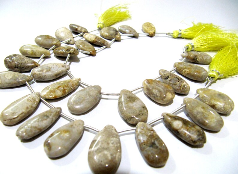 Natural Fossil Coral Pear Shape Plain Smooth Briolette beads 10x20mm To 12x22mm Graduated