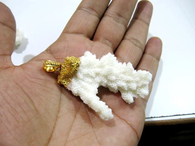 Natural Italian White Coral Cluster Pendant 24Kt Gold Electro Plated Pendant Free Shape Size 40 x 50 mm to 50* 60mm