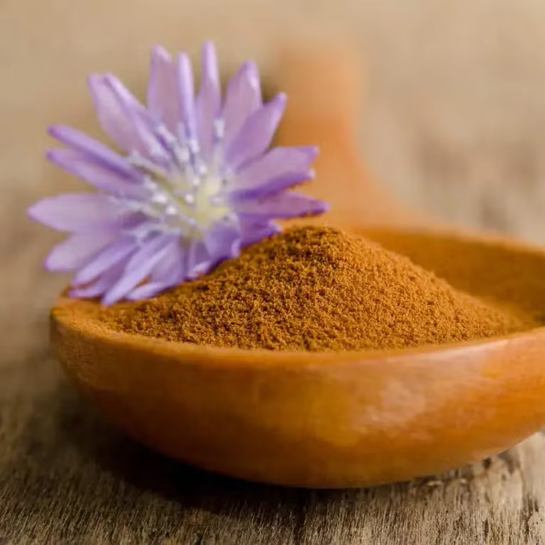 Chicory Extract Coffee Powder - Cultivation Type: Organic