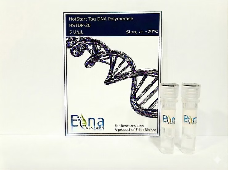 HotStart Taq DNA Polymerase