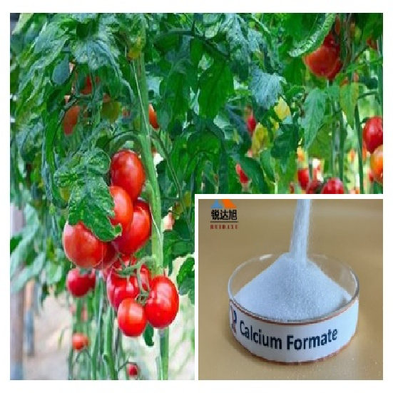 Calcium Formate Faster Setting for Concrete
