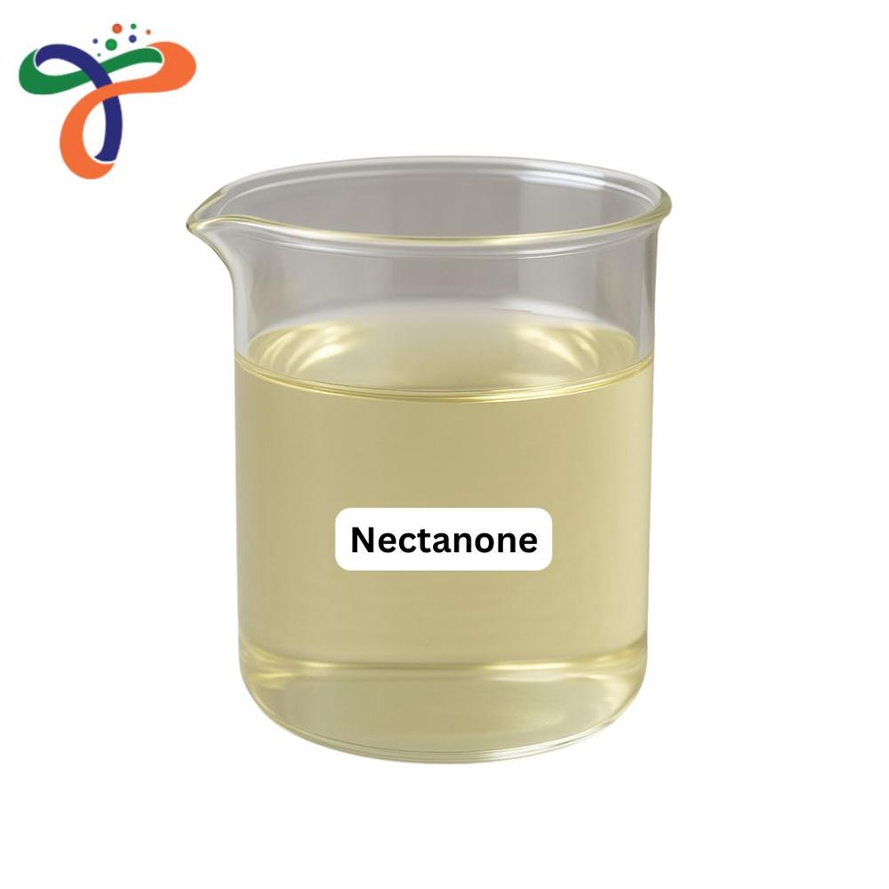 Nectanone (C11h16o) (Nectanone)