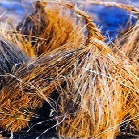 वेटिवर एब्सोल्यूट