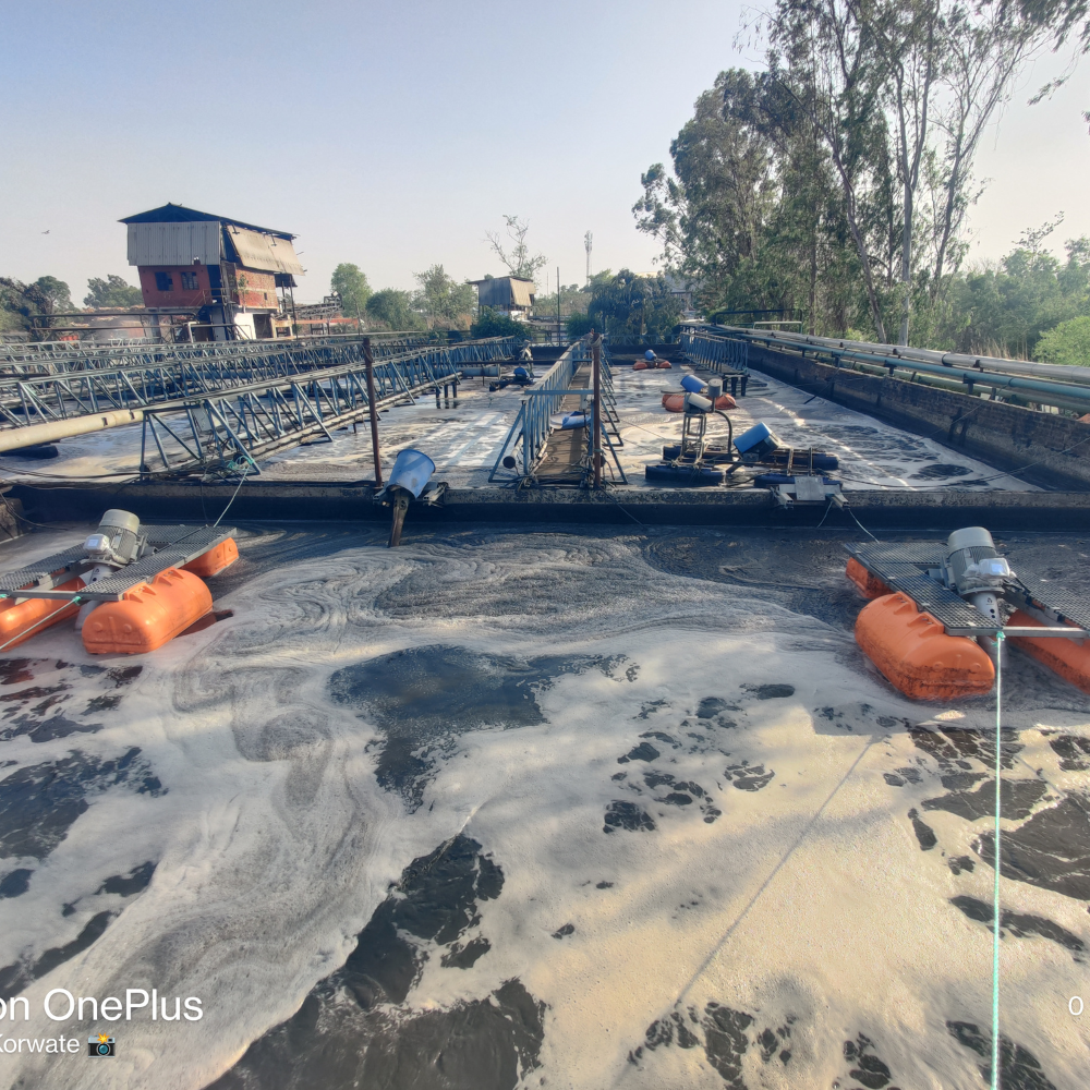 Aerator for Low Dissolved Oxygen and High Power Consumption in STP ETP