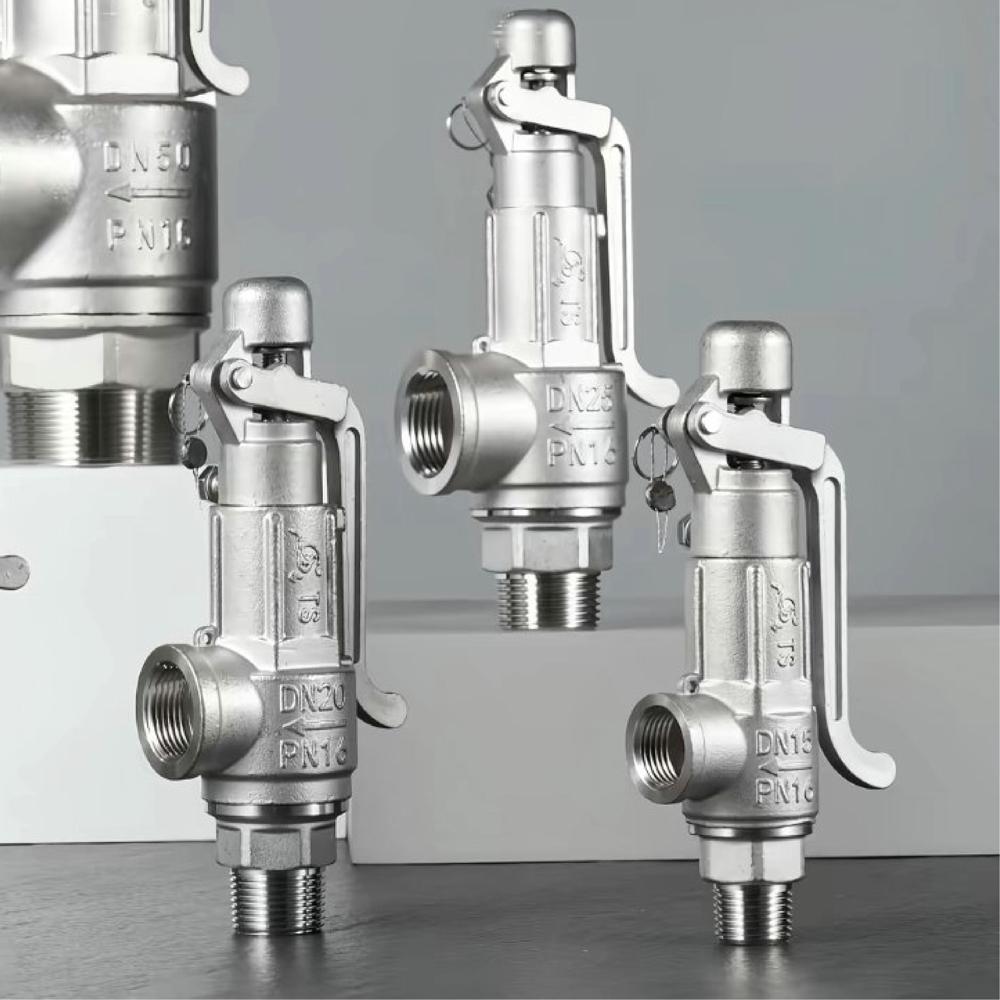 Safety Valve / Pressure Relief Valve, Cast Steel, Flanged, Automatic, Spring Loaded Structure, Steam/Gas/Oil, API 526 Standard