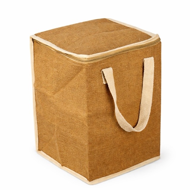 Hot Cold Bag