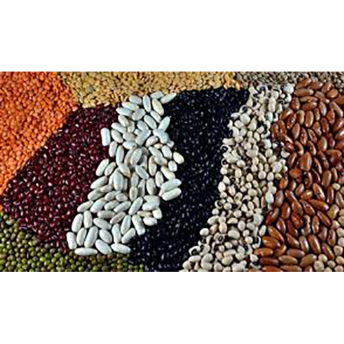 Organic Pulses