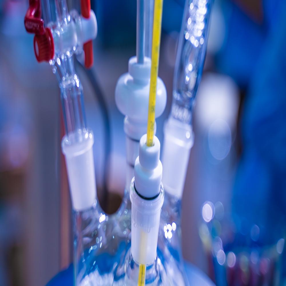 Bio Compatibility (Implant) Testing