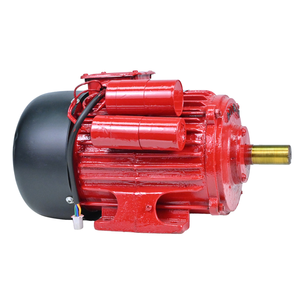 BM-328 3HP Electric Motor