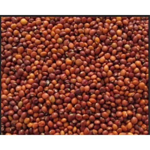 Toor (Red Gram)