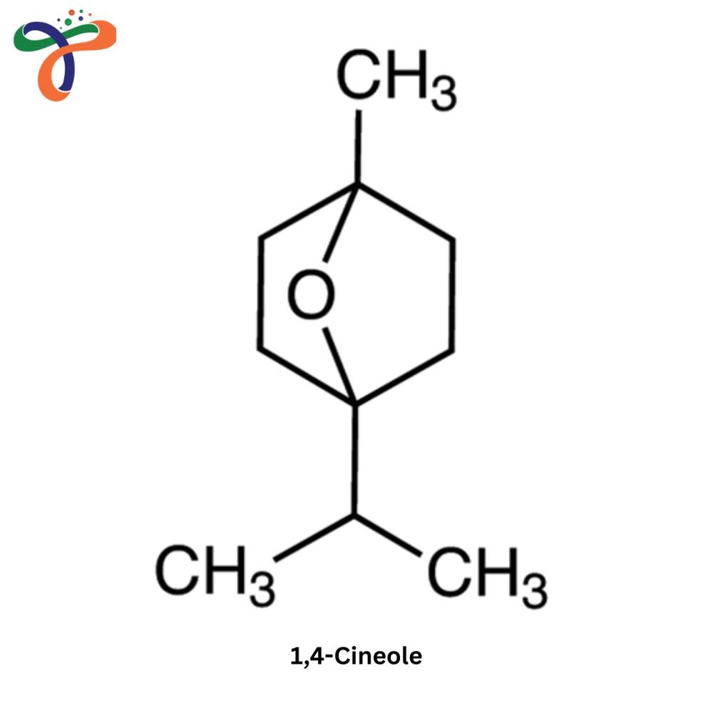 1,4-Cineole (470-67-7) (Liquid)