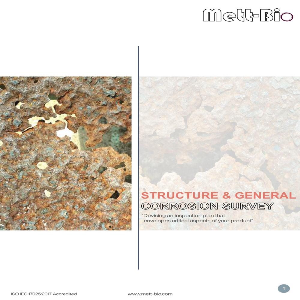 Structural & General Corrosion Survey