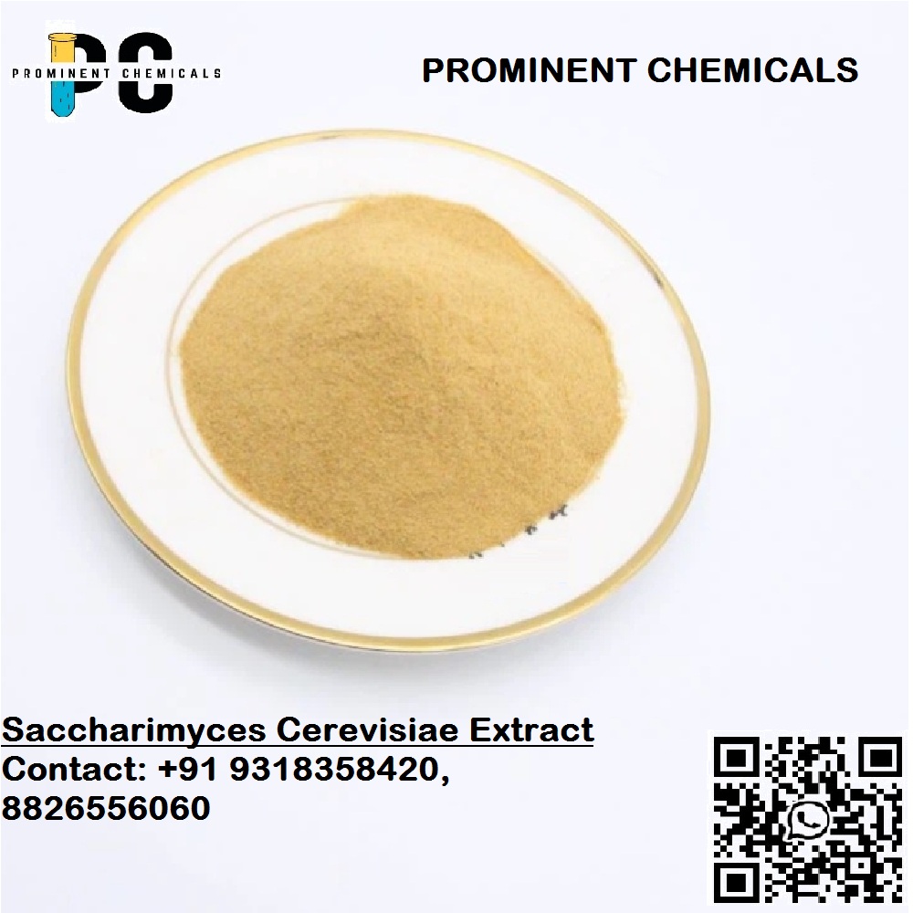 Saccharimyces Cerevisiae Extract