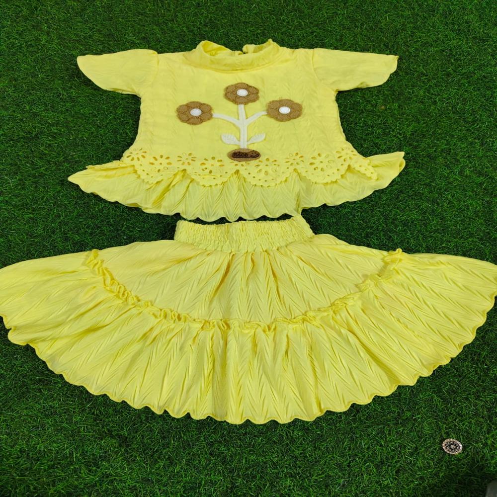 Stylish Girls Embroidered Top and Crushed Skirt Set