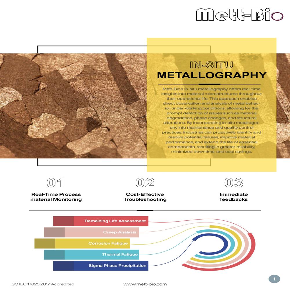 Insitu Metallography
