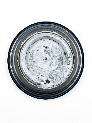 Egg Cooker Heating Plate