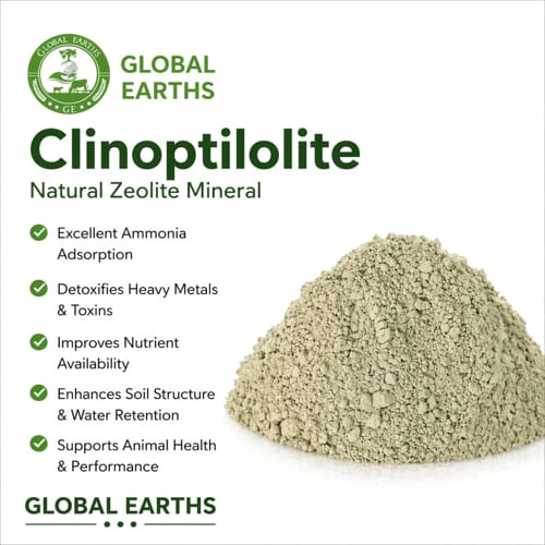 Clinoptilolite Natural Zeolite Mineral
