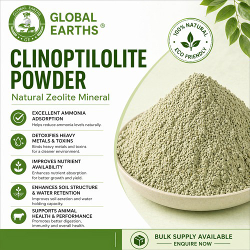 Natural Clinoptilolite Powder