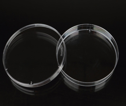 Petri Dish With Radiation Sterile