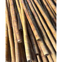 Golden Bamboo Sticks