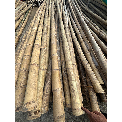 Golden Bamboo Sticks