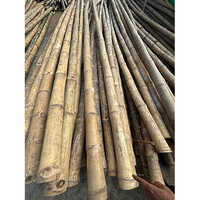 Golden Bamboo Sticks