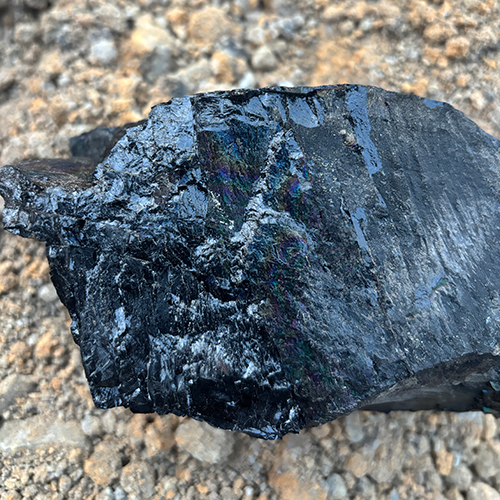 Black Coal