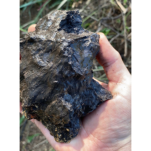 Black Coal