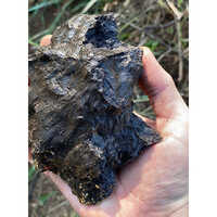 Black Coal