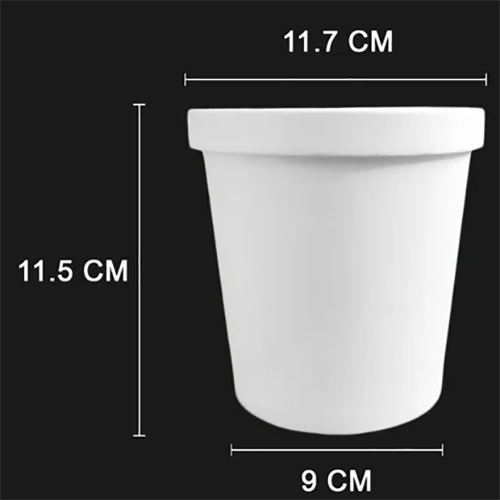 Ice Cream Disposable Food Container