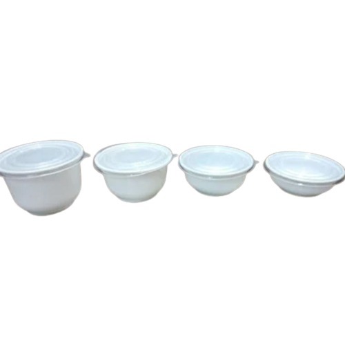 Plastic Food Container