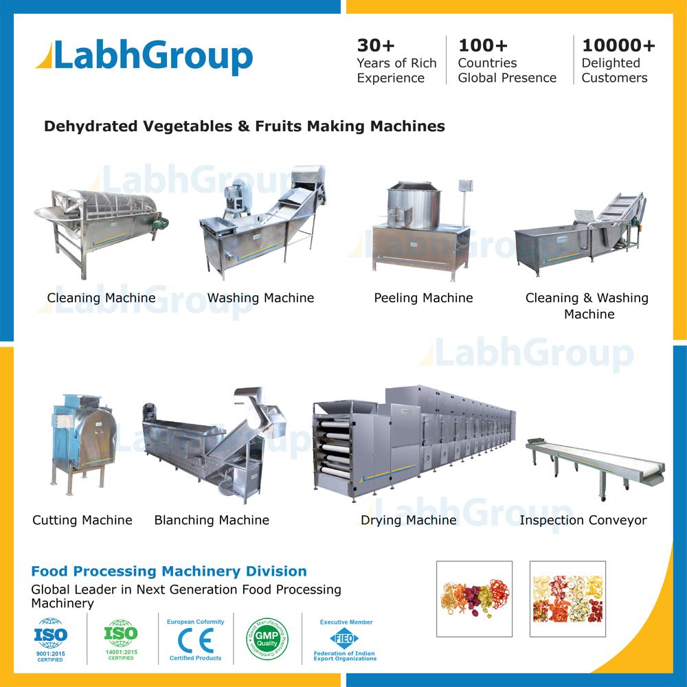 Fruits And Vegetables Dehydration Plant